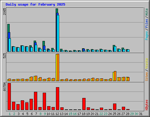 Daily usage for February 2025