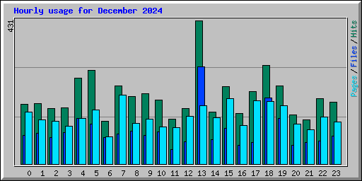 Hourly usage for December 2024