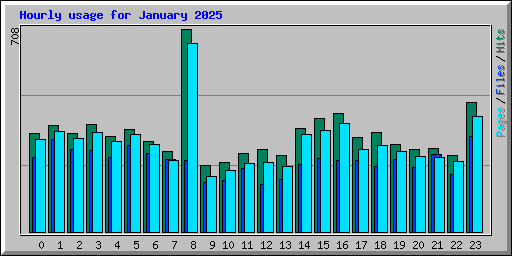 Hourly usage for January 2025
