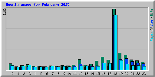 Hourly usage for February 2025