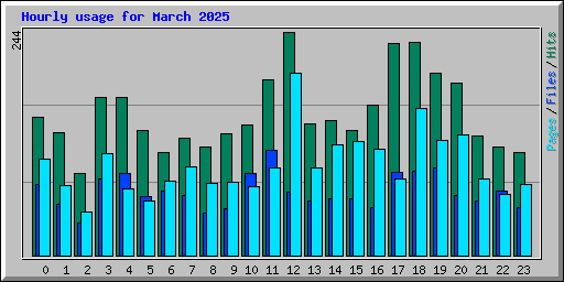 Hourly usage for March 2025