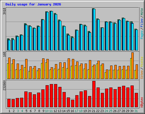 Daily usage for January 2026