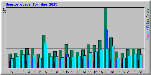 Hourly usage for May 2025