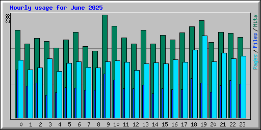 Hourly usage for June 2025