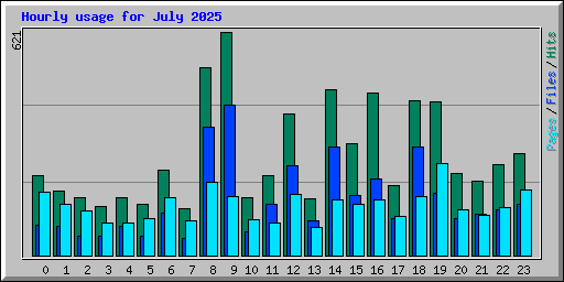 Hourly usage for July 2025