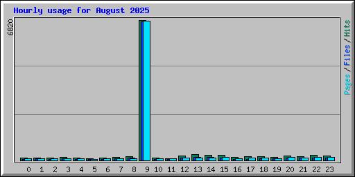 Hourly usage for August 2025