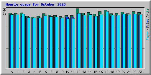 Hourly usage for October 2025