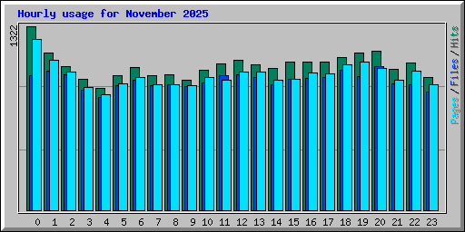 Hourly usage for November 2025