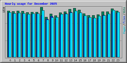 Hourly usage for December 2025