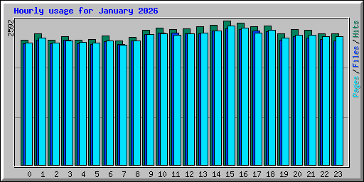Hourly usage for January 2026