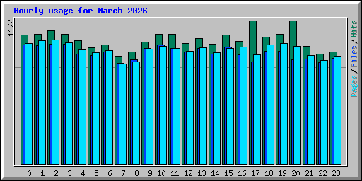 Hourly usage for March 2026