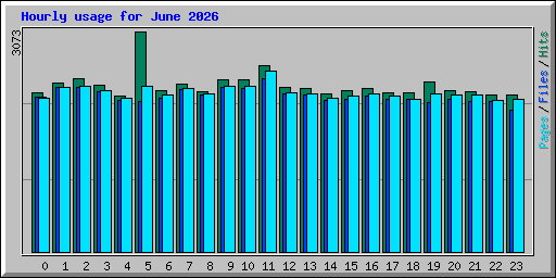 Hourly usage for June 2026